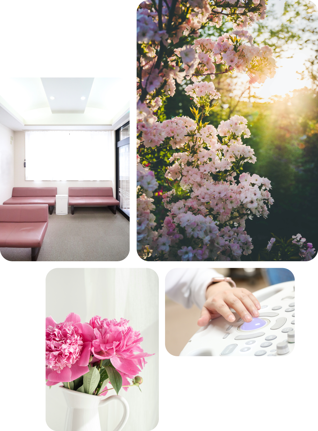 ななほしクリニック 医院のイメージ